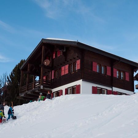 Chalet Gerbera Daire Rosswald Dış mekan fotoğraf