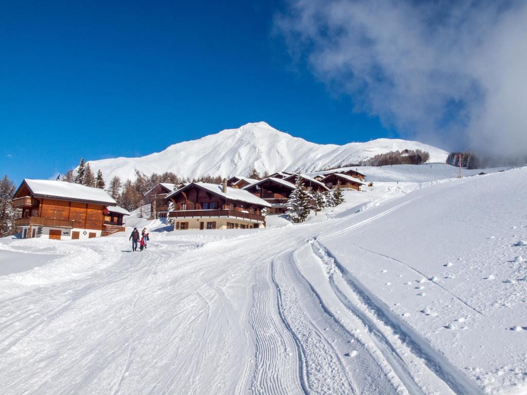 Chalet Gerbera Daire Rosswald Dış mekan fotoğraf