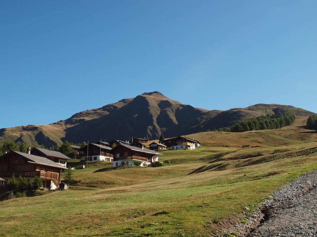 Chalet Gerbera Daire Rosswald Dış mekan fotoğraf