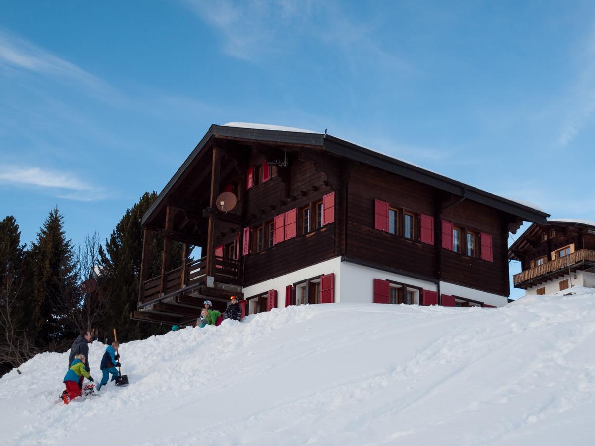 Chalet Gerbera Daire Rosswald Dış mekan fotoğraf