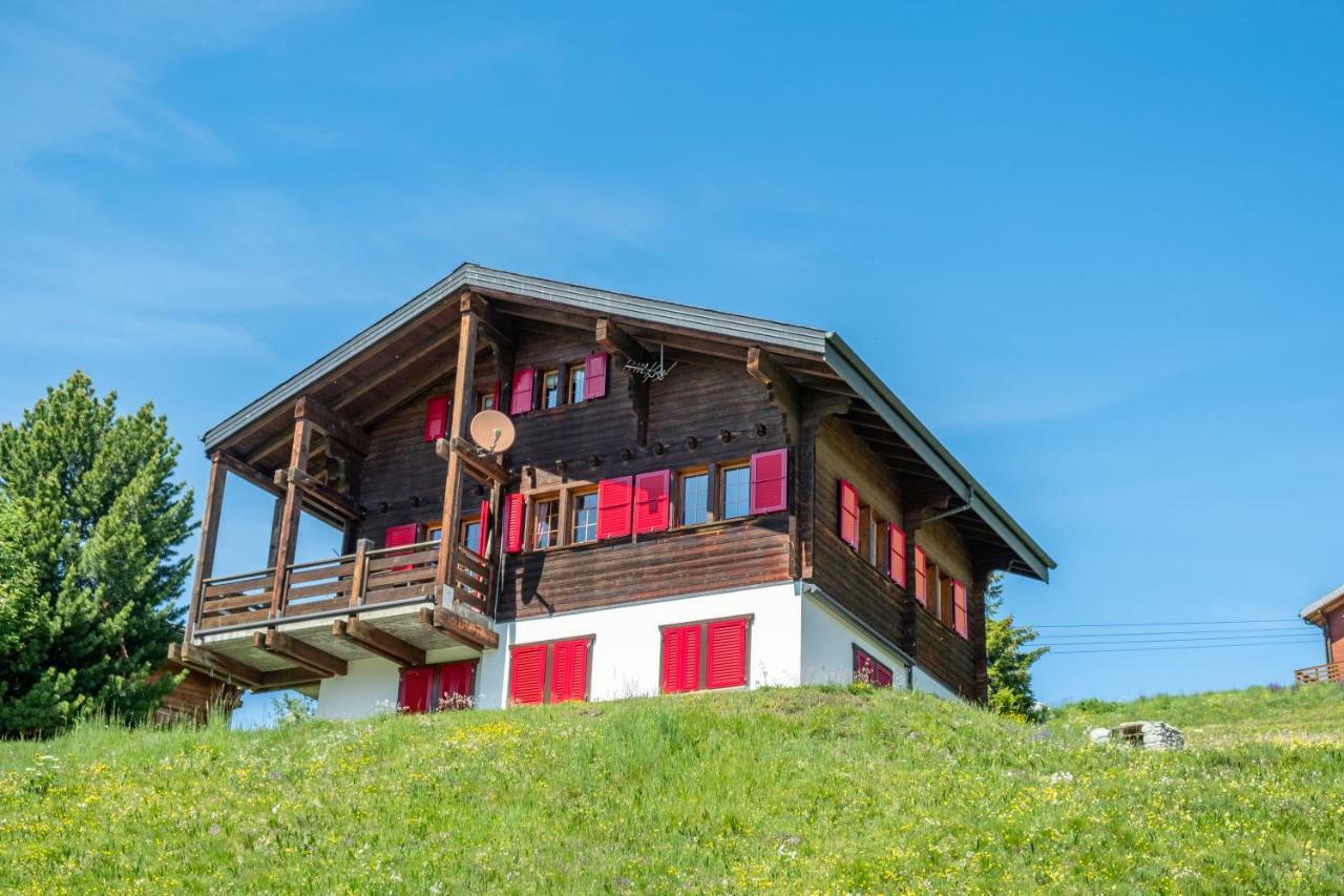 Chalet Gerbera Daire Rosswald Dış mekan fotoğraf